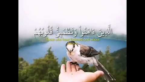 ألا بذكر الله تطمئن القلوب ،تلاوة خاشعة