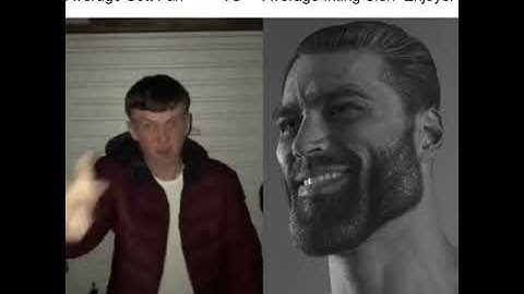 Average sett Fan VS Average inting sion Enjoyer