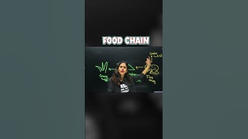 എന്താണ് FOOD CHAIN❓