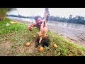 Excellent Searching &amp; Catching Moment🥴In Rural Environment Wow Wonderful Hand Fishing Video✅️