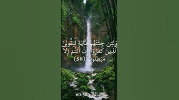 القارئ طارق محمد | تلاوة خاشعة