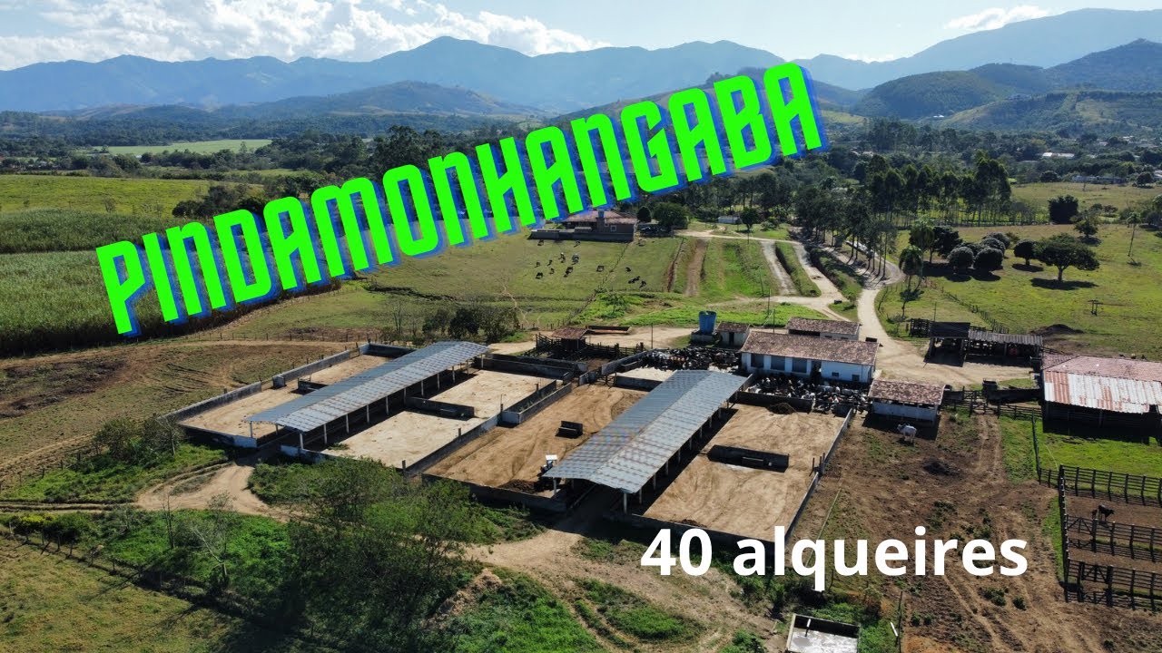 (VENDIDO) DUVIDO NÃO SE ENCANTAR COM ESSA FAZENDA🤩