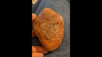 Mudfossil Human Heart