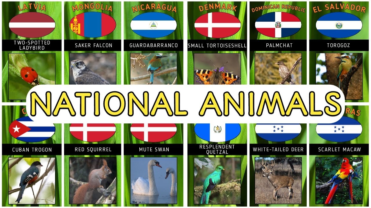 National Animals Of Countries 2022 Flags And Countries Name With national-animals-of-countries-2022-flags-and-countries-name-with
