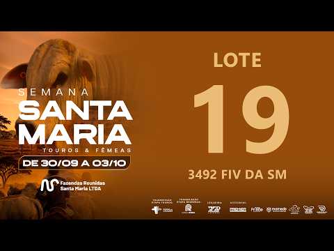 LOTE 19 FSM A3492