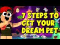 7 Simple Steps to get Your Dream Pet *HELPFUL* (9 slots)
