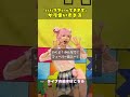 KOGYARUライブ 2部 ダイジェスト|アリオ川口 2026.5.2 ちょー盛れてる! #kogyaru #コギャル