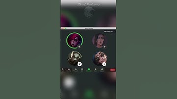 Arcane Zoom Meeting #2 #arcane #jinx #vi #caitlyn #ekko #silly