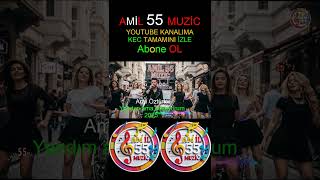 Amil Öztürk - Yandım Ama Susuyorum 2025 Pop