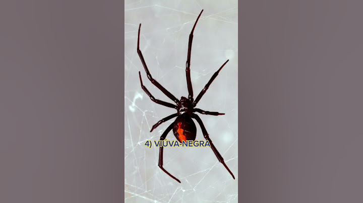 AS 5 ARANHAS MAIS VENENOSAS DO MUNDO #shorts