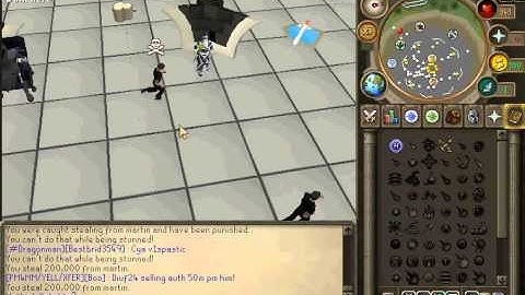 Divinity614 Thieving Bot