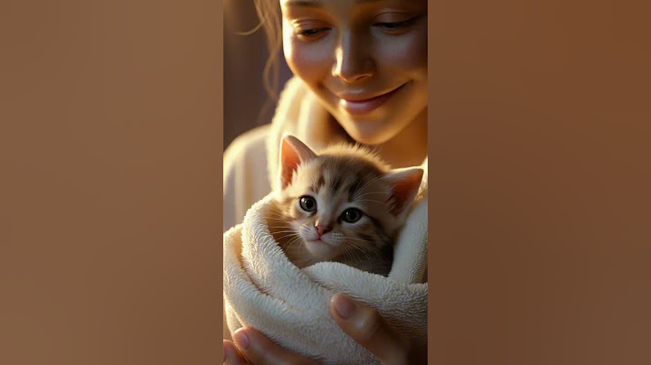 From Trash to Treasure: A Kitten’s Miracle 🐾 #KittenRescue #BeforeAndAfter #CatLovers
