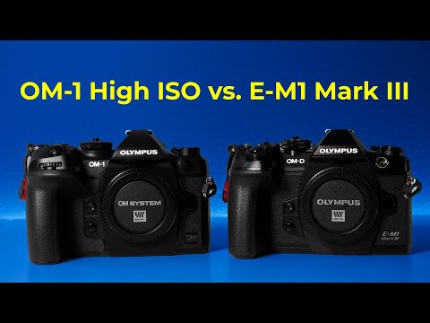 OM SYSTEM OM-1 vs. Olympus E-M1 Mark III - High ISO BATTLE