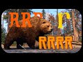 Core voice line Bear en RDR2
