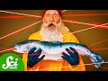 Sea Lice Management Strategies