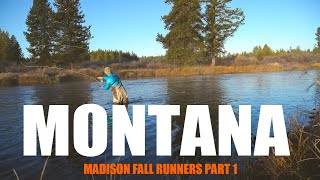 Fly Fishing Montana's Madison River: Fall Runners (Part 1)