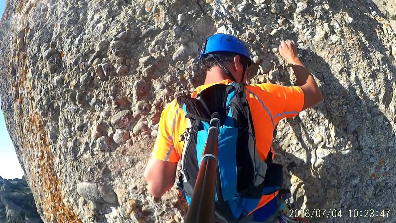 punsola reniu al cavall bernat