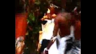 Chameleone -Kipepeo