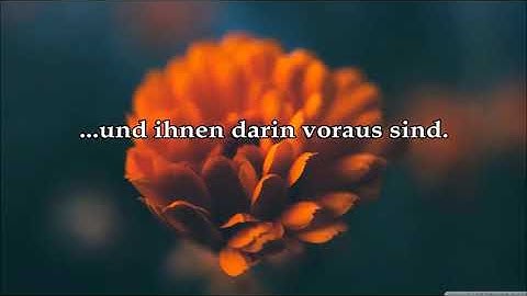 سورة المؤمنون مع ترجمة الايات الى اللغة الالمانية #deutsch #quran