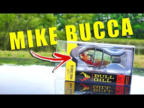 campgrounds near lake lure nc with fishing hiking and pool THE BEST Lake Lure Campgrounds 2026 (with Prices)