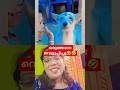 ബ്യൂട്ടീഷൻ എങ്ങനെയുണ്ട് ഗെയ്സ് 🤪🤪#cats#funnydog#cutecat#youtubeshorts