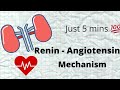 Just 5mins |Renin - Angiotensin mechanism|