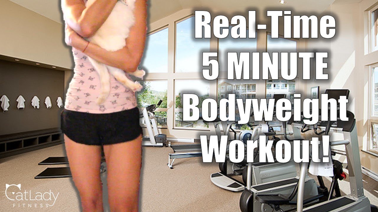 healthiest cat food for older cats Let's Exercise Together! Real-Time Metabolic Workout (great for beginners, too!) - Cat Lady Fitness