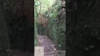 quoto bagus sadar diri @loronglumut#jayagiri@pola86bandung_hhh@ghappysunday_hhh