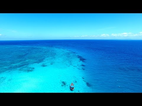 Who's flying to Kenya's Diani Beach for their #SafarilinkJourney? | Our2Cents