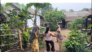 SERU LIHAT EMA EMA BERANTEM BENERAN JAMAN SEKARANG ADA YANG RIBUT BKN NYA DI SAPIH MALAH DI CAMERA