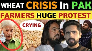 Food Wheat Price Comparison Pakistani Public Reaction Real Entertainment Tv Latest