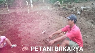 KATA KATA BIJAK PERTANIAN | Kata motivasi bagi generasi petani di Indonesia