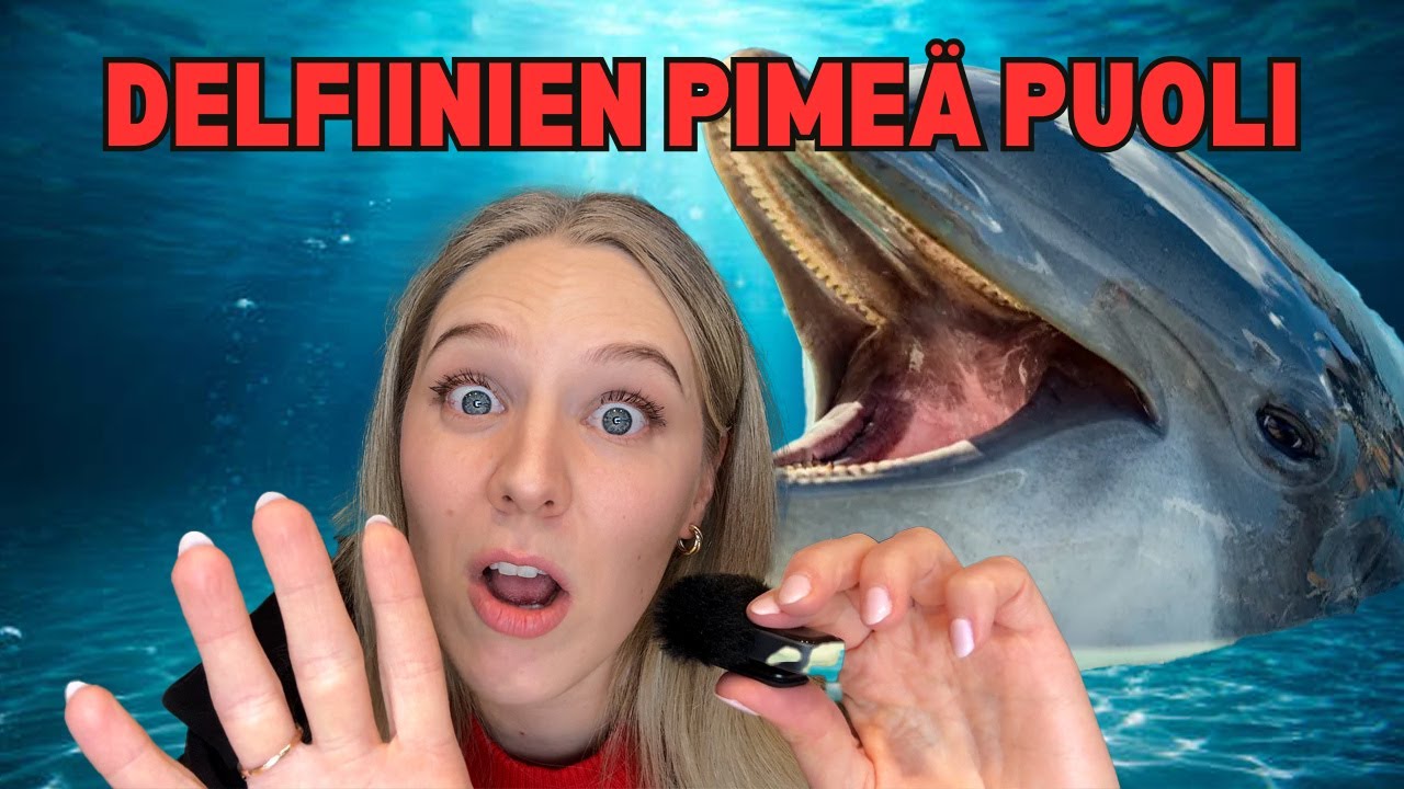 DELFIINIEN PIMEÄ PUOLI | Kamala Luonto