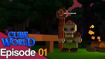 Cube World Let