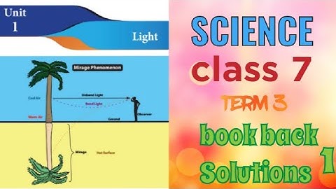 class 7 science unit 1- light (term 3) book back solutions