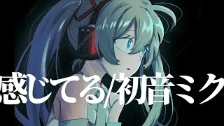 感じてる / 初音ミク