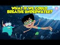 Exploring the Possibility of Breathing Underwater
