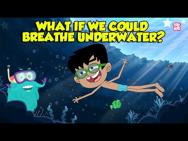 What If We Could Breathe Underwater? | Humans with Superpowers | Super Freedivers | Dr. Binocs Show class=