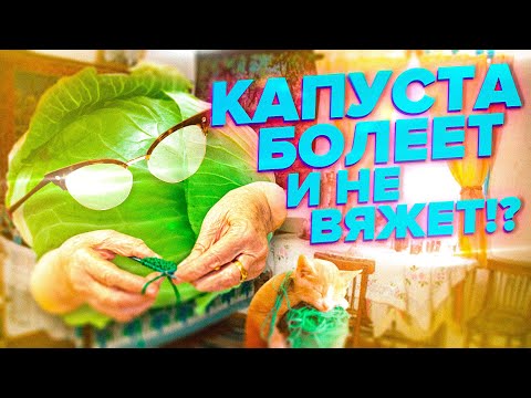 ПОЧЕМУ КАПУСТА НЕ ЗАВЯЗЫВАЕТ КОЧАНЫ И БОЛЕЕТ? ЧТО ДЕЛАТЬ В АВГУСТЕ?
