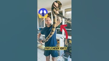 This Man Went Live with a Python 😱🐍 #ViralShorts”