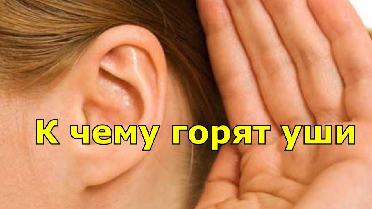 Фото Красного Уха