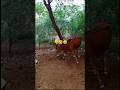 Https Youtube Com Shorts QGhyVqC1sWA Si 6WDCUpjIN6yoOC5yрџ Јрџ Ј Style Https Youtube Com Shorts QGhyVqC1sWA Si 6WDCUpjIN6yoOC5yрџ Јрџ Ј Style