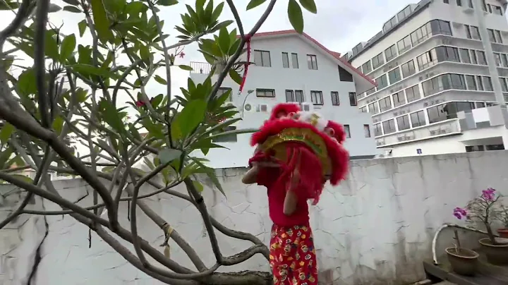 2023.03 - Joel Ng Performs His Lion Dance