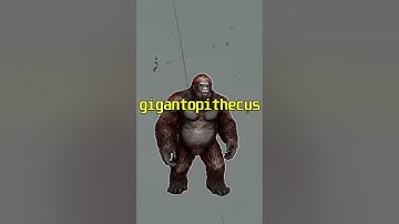 Ark Gigantopithecus🦧