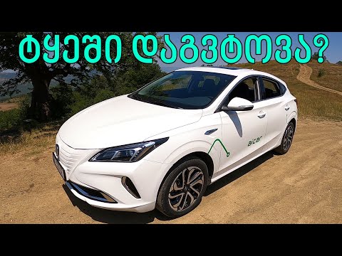 ტესტ დრაივი - ჩინური ელექტრომობილი - 1 დატენვა=400კმ!