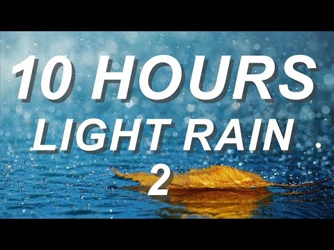 Light Rain 2 - Relaxing Nature Sounds 10 hours