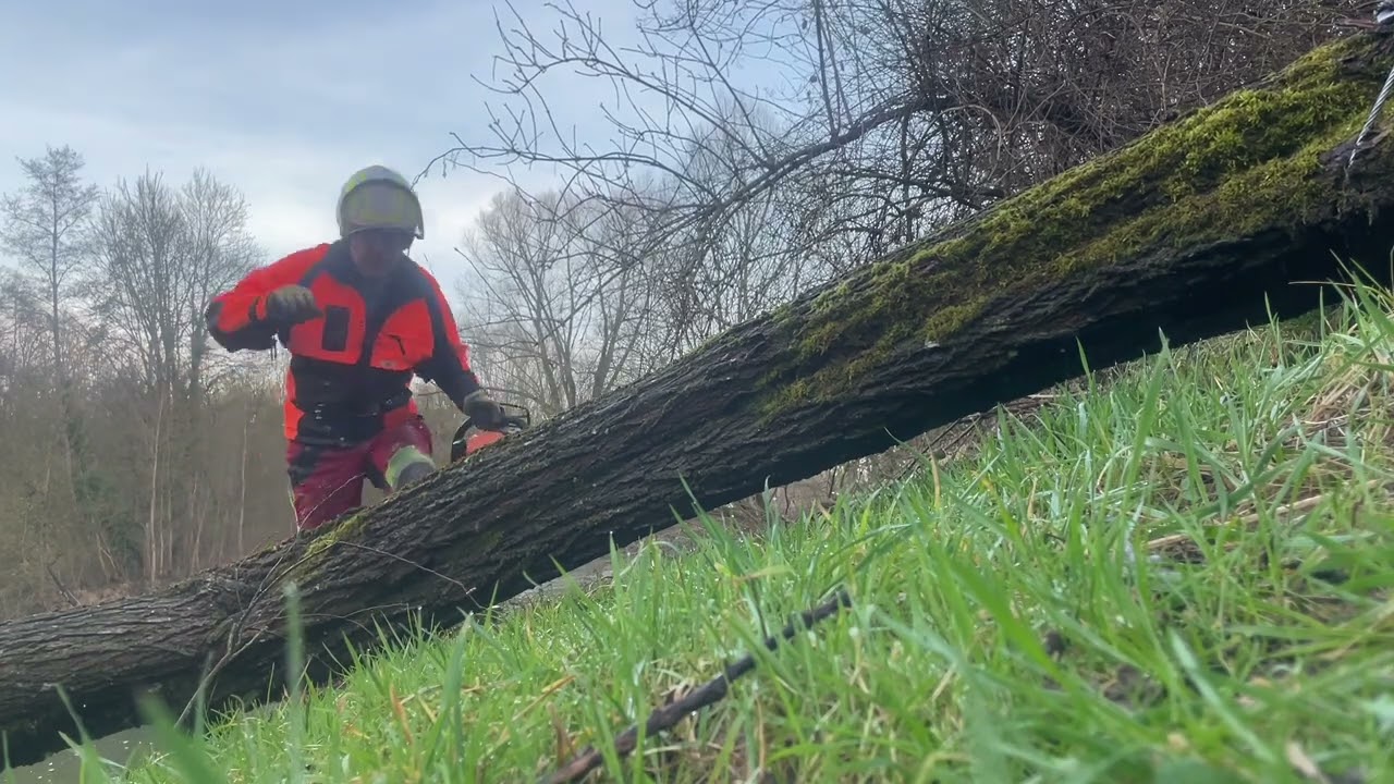 Gewässerrandstreifen pflegen 
