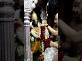 Pandharpur Vithoba Darshan | Divine Vithal Seva &amp; Bhakti Moments | #PandharpurDarshan #Vithoba