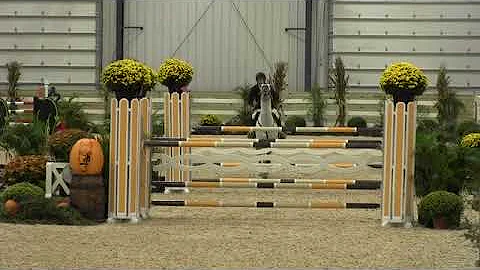 Video of FIVE STAR ridden by DAVID Q. BEISEL from ...