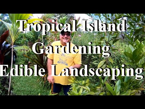 Video: Oceanfront Gardening Sa Hawaii: Native Hawaiian Plants For The Beach